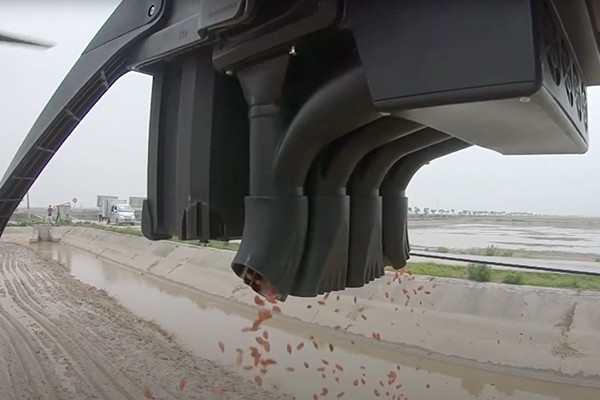 Granular Fertilization